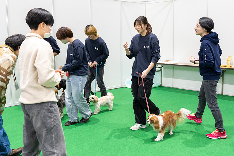 職業体験フェスタの様子