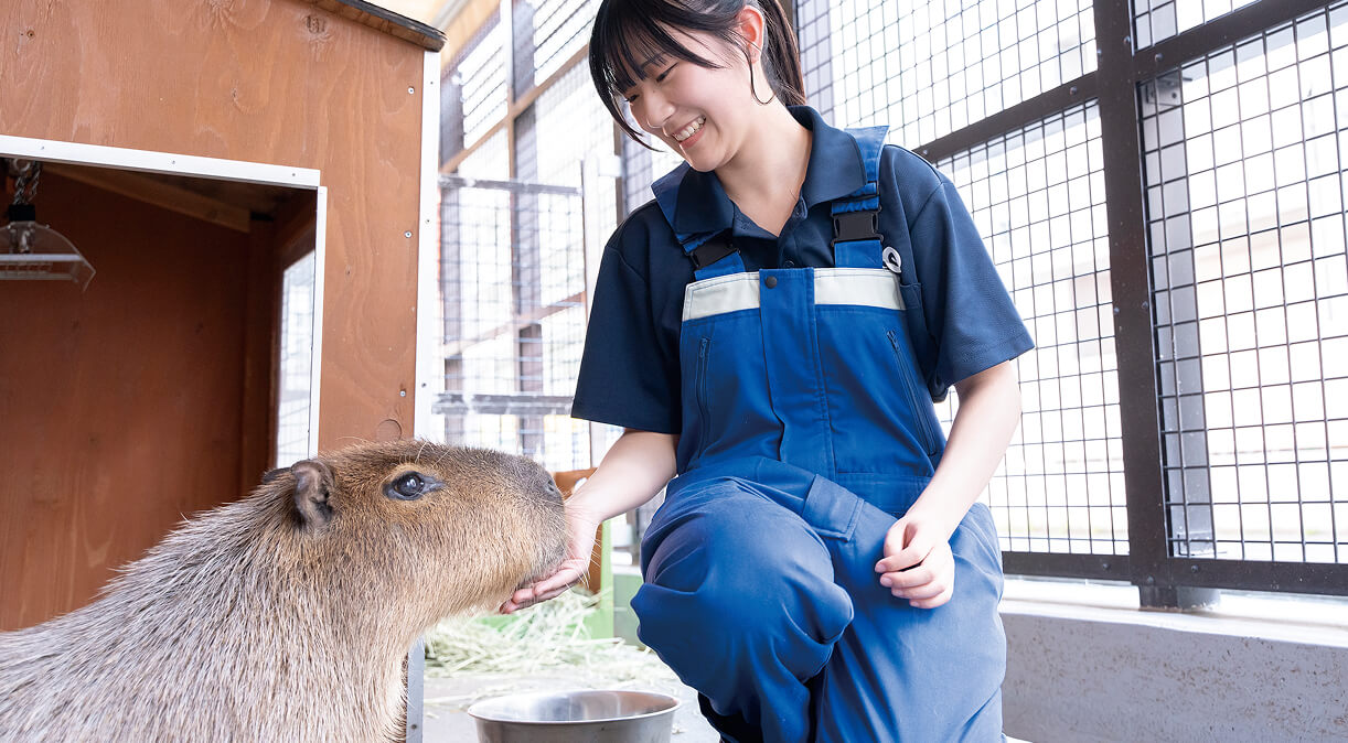 動物園・ペットショップ体験のイメージ画像