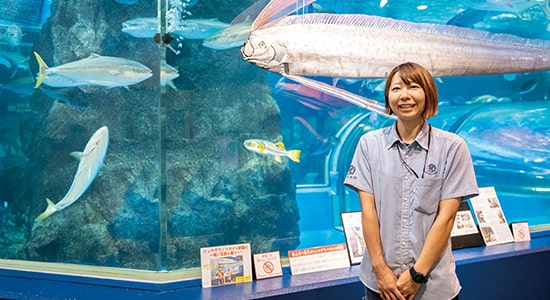 水族館・アクアリスト体験のイメージ画像